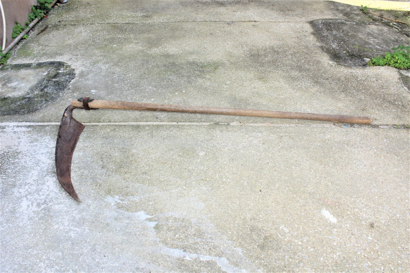 Foice. Instrumento utilizado para desbastar o mato. Isabel Rosendo, in Memórias da Lagoa de Óbidos.